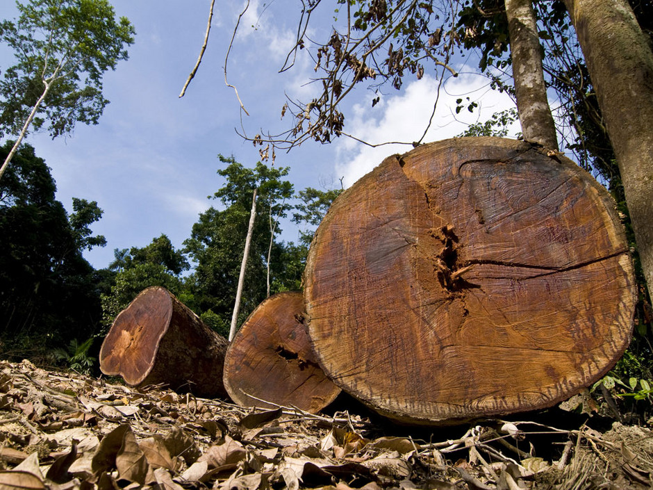 deforestation-en-amazonie_940x705