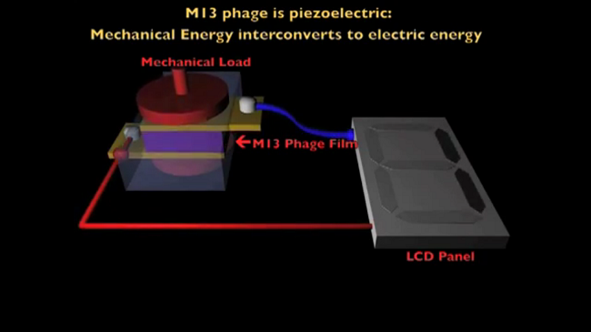 virus electricité